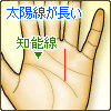 太陽線が長い