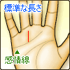 標準的な長さ