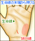 生命線の末端から伸びる