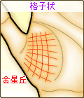 金星丘が格子状