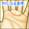 金星環が1本で、きれいな弧を描く