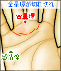 金星環が切れ切れ