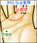 金星環が1本で、きれいな弧を描く