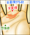 金星環が多数ある